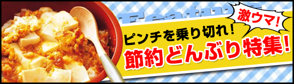 ピンチを乗り切れ！激ウマ節約どんぶり特集！